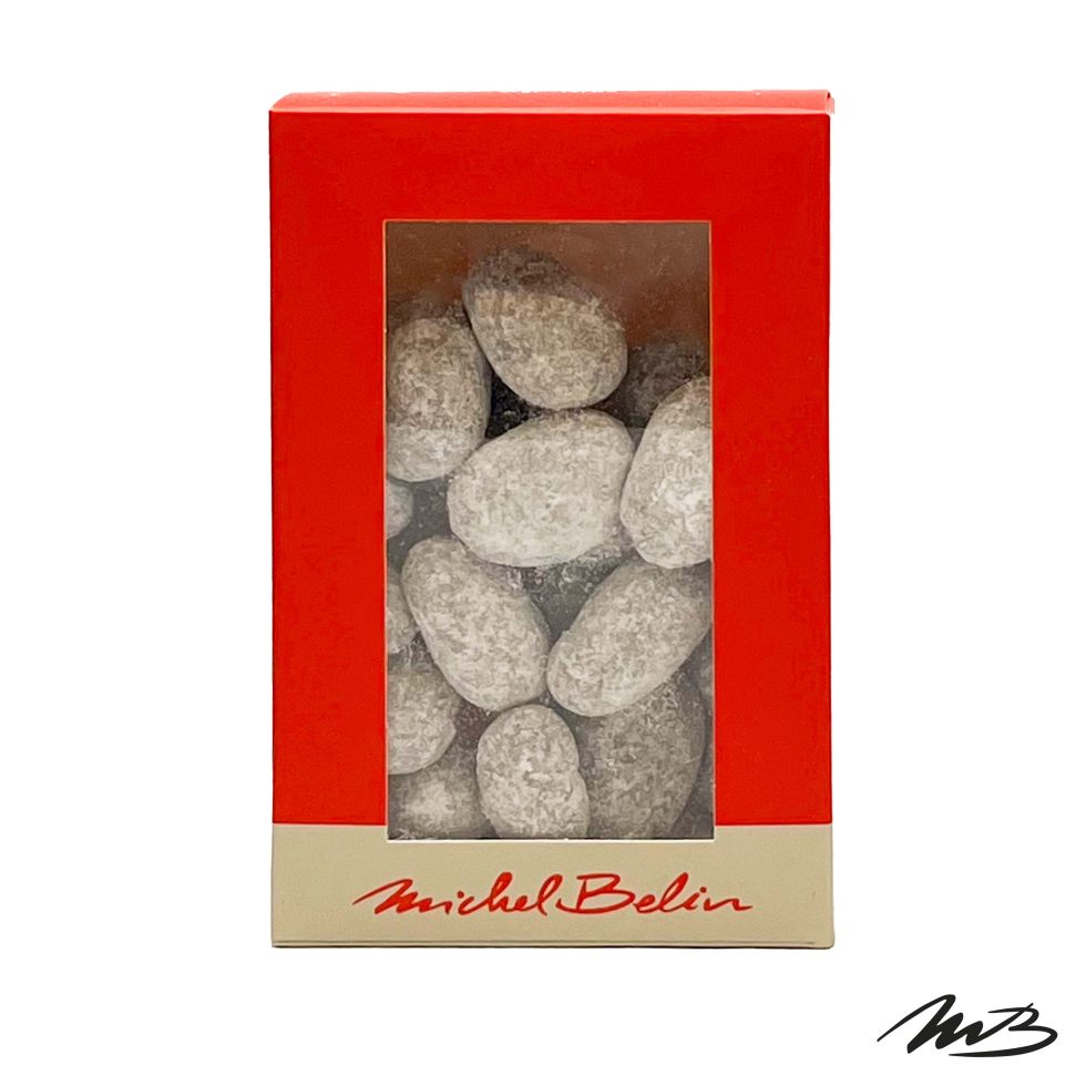 Brique Amandes Gianduja au sucre glace